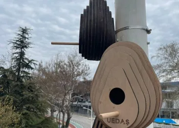 Sokak lambalarına kuşlar için yuva