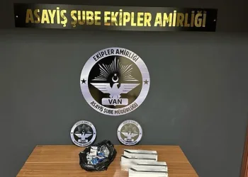 Van’da 20 kişi tutuklandı