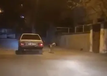 Köpeği otomobilin kapısına bağlayıp koşturdu