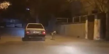 Köpeği otomobilin kapısına bağlayıp koşturdu