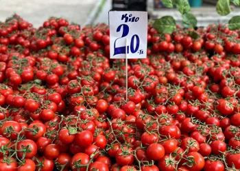 Domatesin fiyatı yüzde 40 düştü