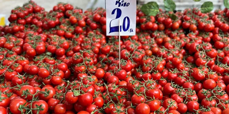 Domatesin fiyatı yüzde 40 düştü