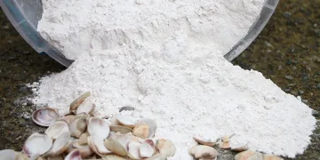 Midyeden yangın söndürücü toz ürettiler