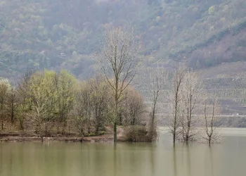 Yuvacık Barajı’nda su seviyesi yükseldi