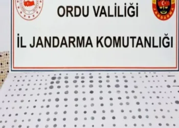 Roma dönemine ait 293 sikke bulundu