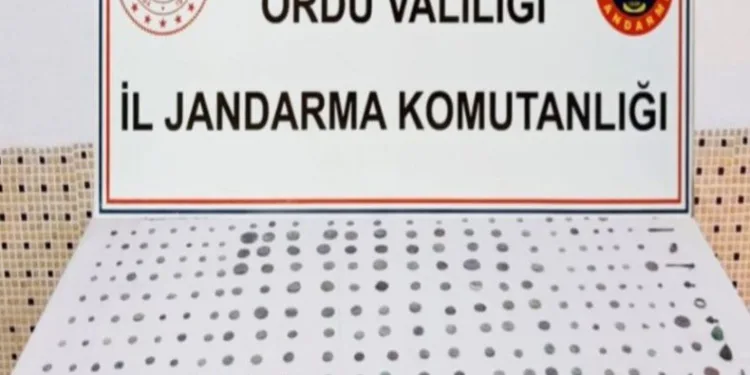 Roma dönemine ait 293 sikke bulundu