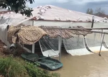 Antalya’da tarlalar ve yollar göle döndü