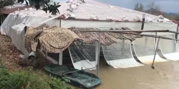 Antalya’da tarlalar ve yollar göle döndü