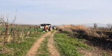 Çiftçi cinayetinde katil baba-oğul çıktı
