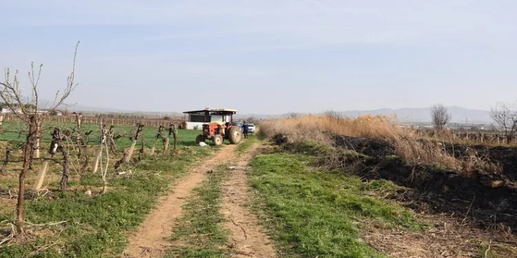Çiftçi cinayetinde katil baba-oğul çıktı