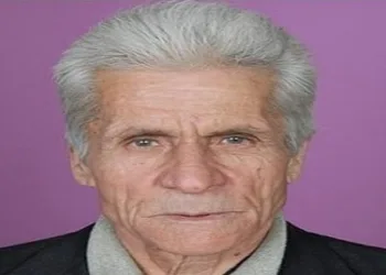 Kestiği ağacın çarptığı adam hayatını kaybetti