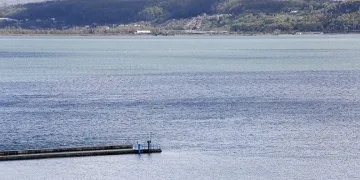 Sapanca Gölü’nde sevindiren haber