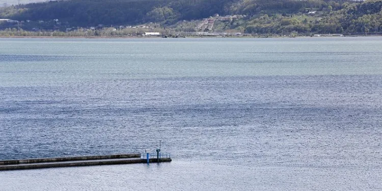 Sapanca Gölü’nde sevindiren haber