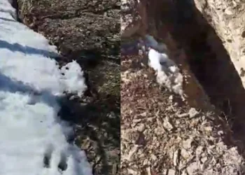 Hani’de metrelerce fay kırığı