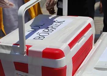 Organ kaçakçılarının oyunu bozuldu