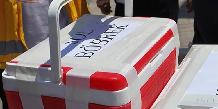 Organ kaçakçılarının oyunu bozuldu