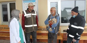Çalınan köpek, bin 309 kilometre uzaklıkta bulundu