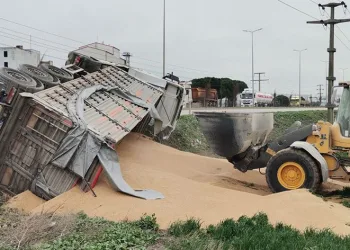 Bandırma’da buğday yüklü tır devrildi