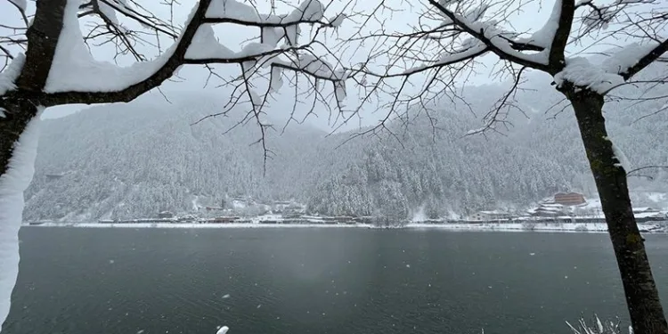 Uzungöl beyaza boyandı