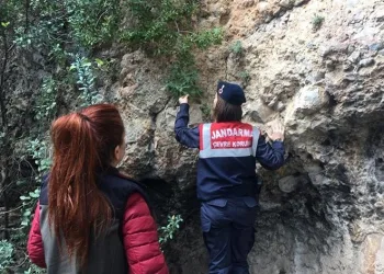 “Endemik tür” devriyesi