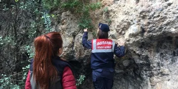 “Endemik tür” devriyesi