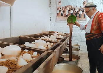 Güneydoğu’nun doğal kolası
