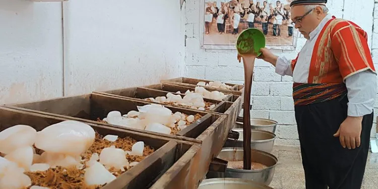 Güneydoğu’nun doğal kolası