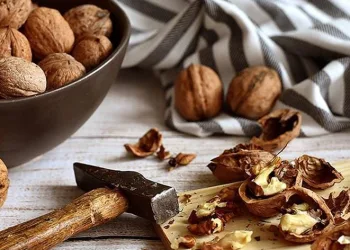 Cevizin Faydaları Nelerdir? Diyette Yenir mi?