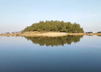 Göçmen kuşlar rotayı çevirdi