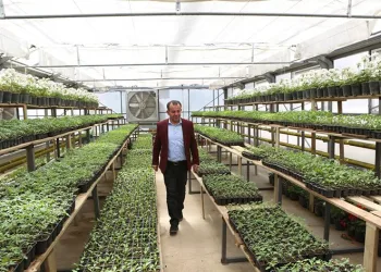 Ziyaret eden herkese ücretsiz dağıtılacak