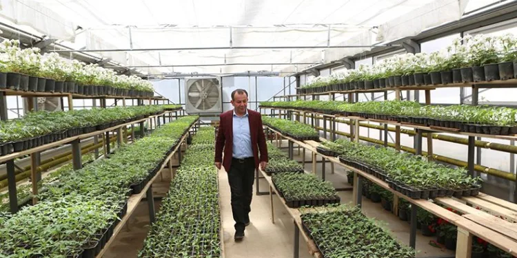 Ziyaret eden herkese ücretsiz dağıtılacak