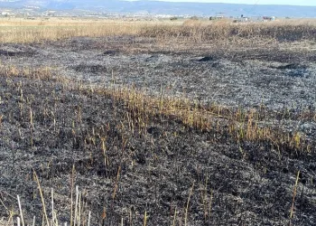 Göksu Deltası’nda çıkan yangın kendiliğinden söndü