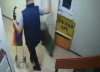 Pazar arabası hırsızları