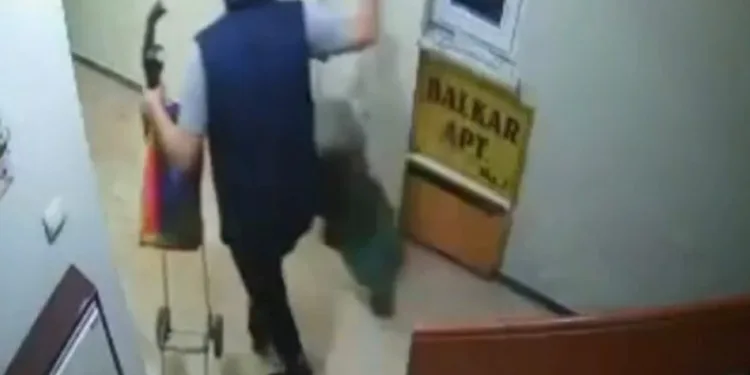 Pazar arabası hırsızları