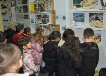 Öğrenciler doldurulmuş hayvan müzesinde