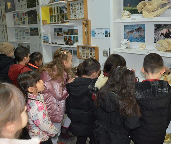 Öğrenciler doldurulmuş hayvan müzesinde