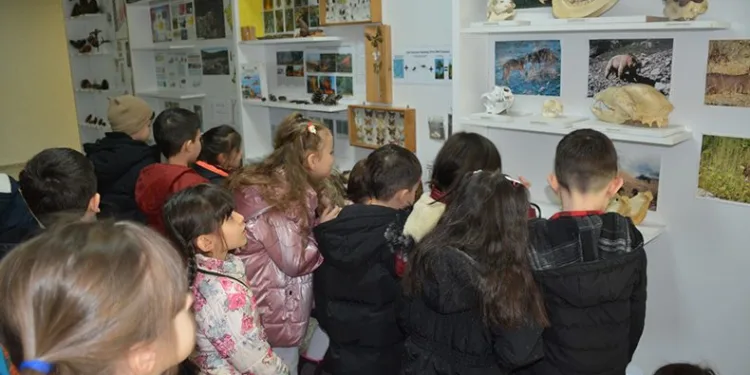 Öğrenciler doldurulmuş hayvan müzesinde