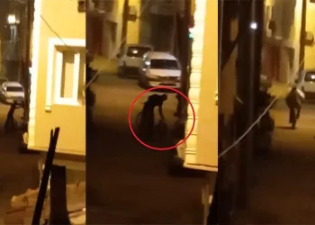 Hırsızlar vatandaşın bağırmasıyla böyle kaçtı