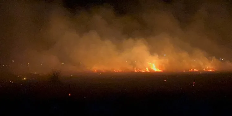 30 dönümlük merada yangın