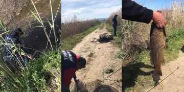Kaçak yakalanan balıklar suya geri bırakıldı