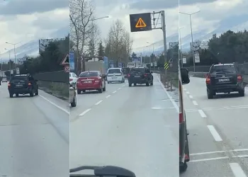 Yan yan seyreden cipi görenler, gözlerine inanamadı