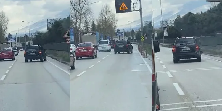Yan yan seyreden cipi görenler, gözlerine inanamadı