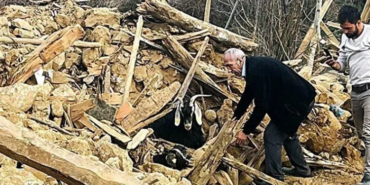 637 saat sonra enkazdan 2 keçi kurtarıldı