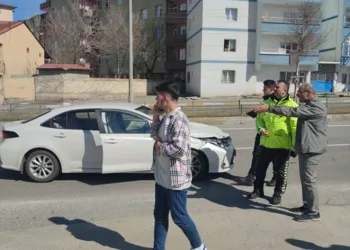 Başıboş hayvanlar kazaya sebep oldu