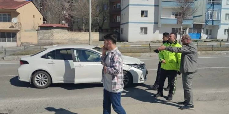 Başıboş hayvanlar kazaya sebep oldu
