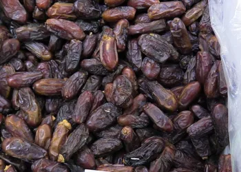 Ramazan geldi, hurmaya talep arttı
