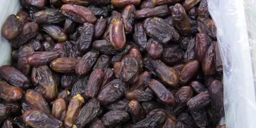 Ramazan geldi, hurmaya talep arttı