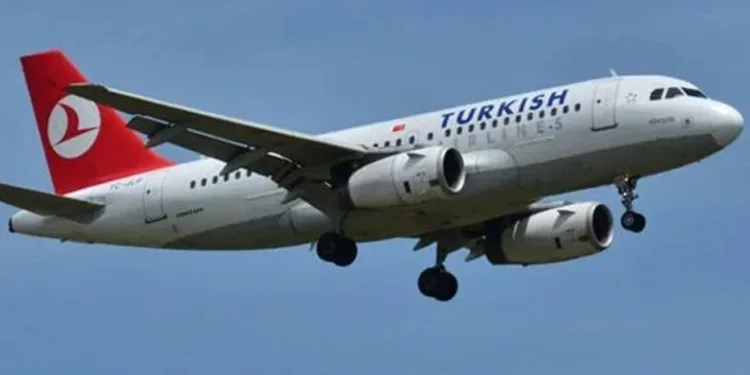 Yolcu kabin ekibine saldırdı