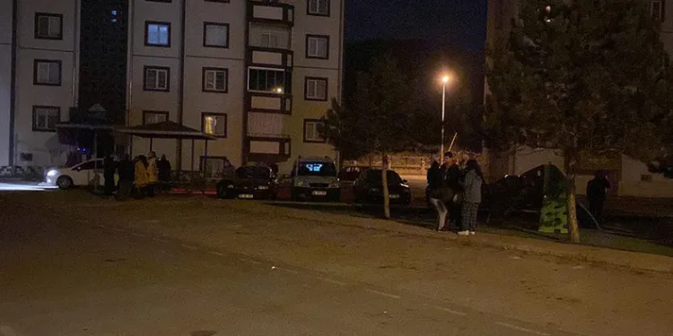 4.8 şiddetinde deprem