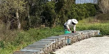 Arıcıların kışlama mesaisi başladı